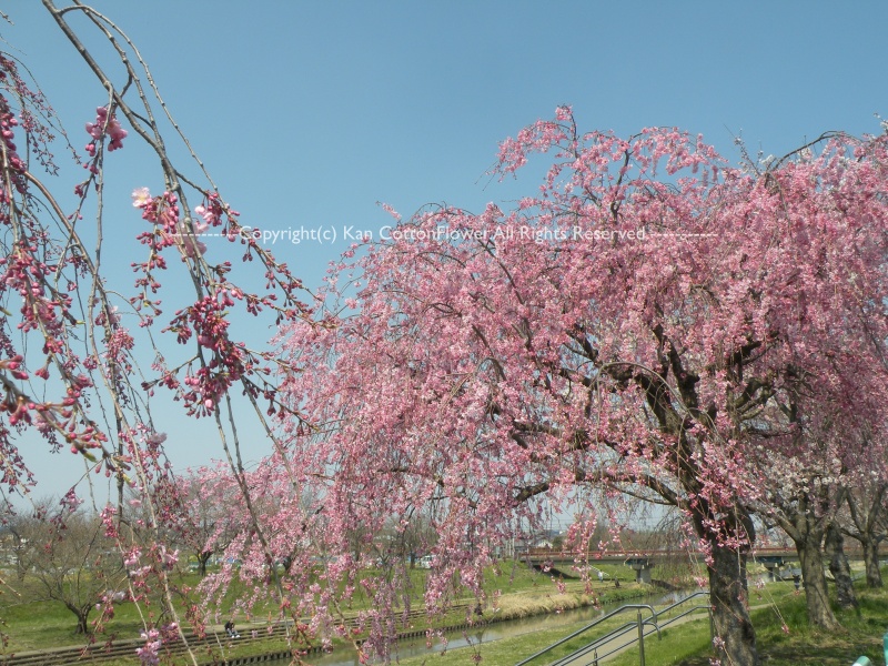 鶴ヶ島　御伊勢塚公園